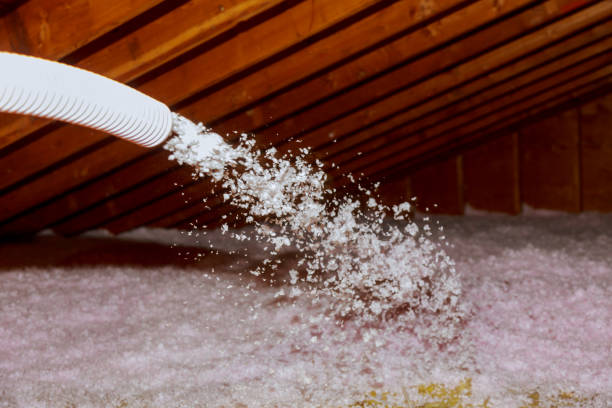 Best Spray Foam Insulation  in Pittsburg, KS